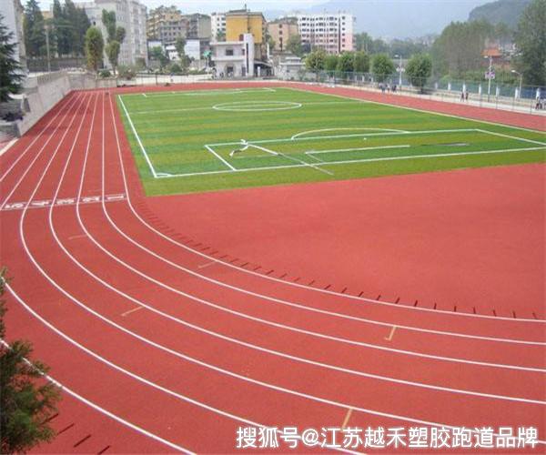 乐鱼体育新国标塑胶跑道中国塑胶跑道十大名牌中国塑胶跑道品牌排行国产EPDM品牌(图2)